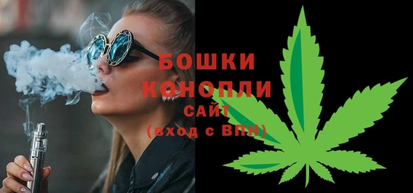 крисы Гусь-Хрустальный