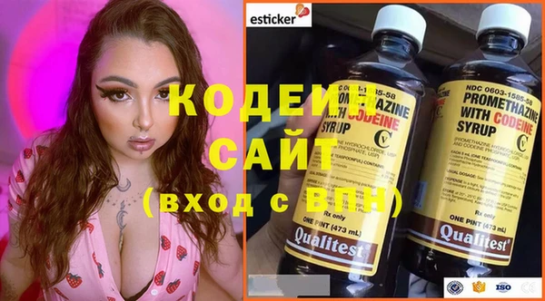 2c-b Гусев