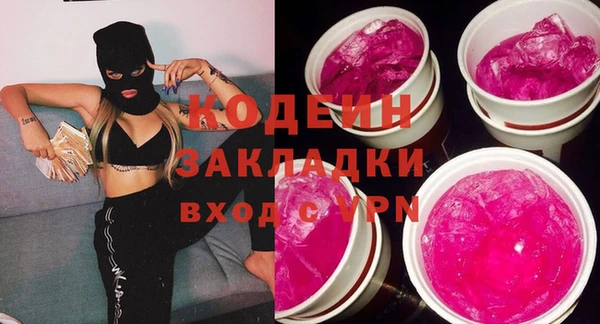 2c-b Гусев