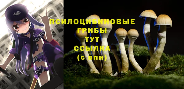 2c-b Гусев