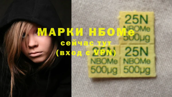 2c-b Гусев