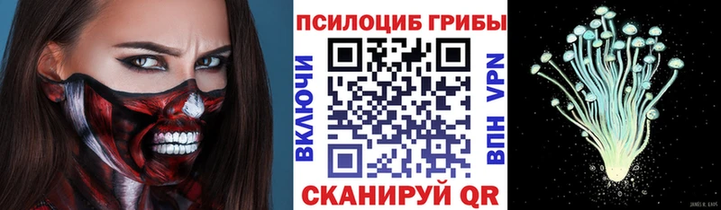 Купить где  Лесосибирск  Галлюциногенные грибы GOLDEN TEACHER 